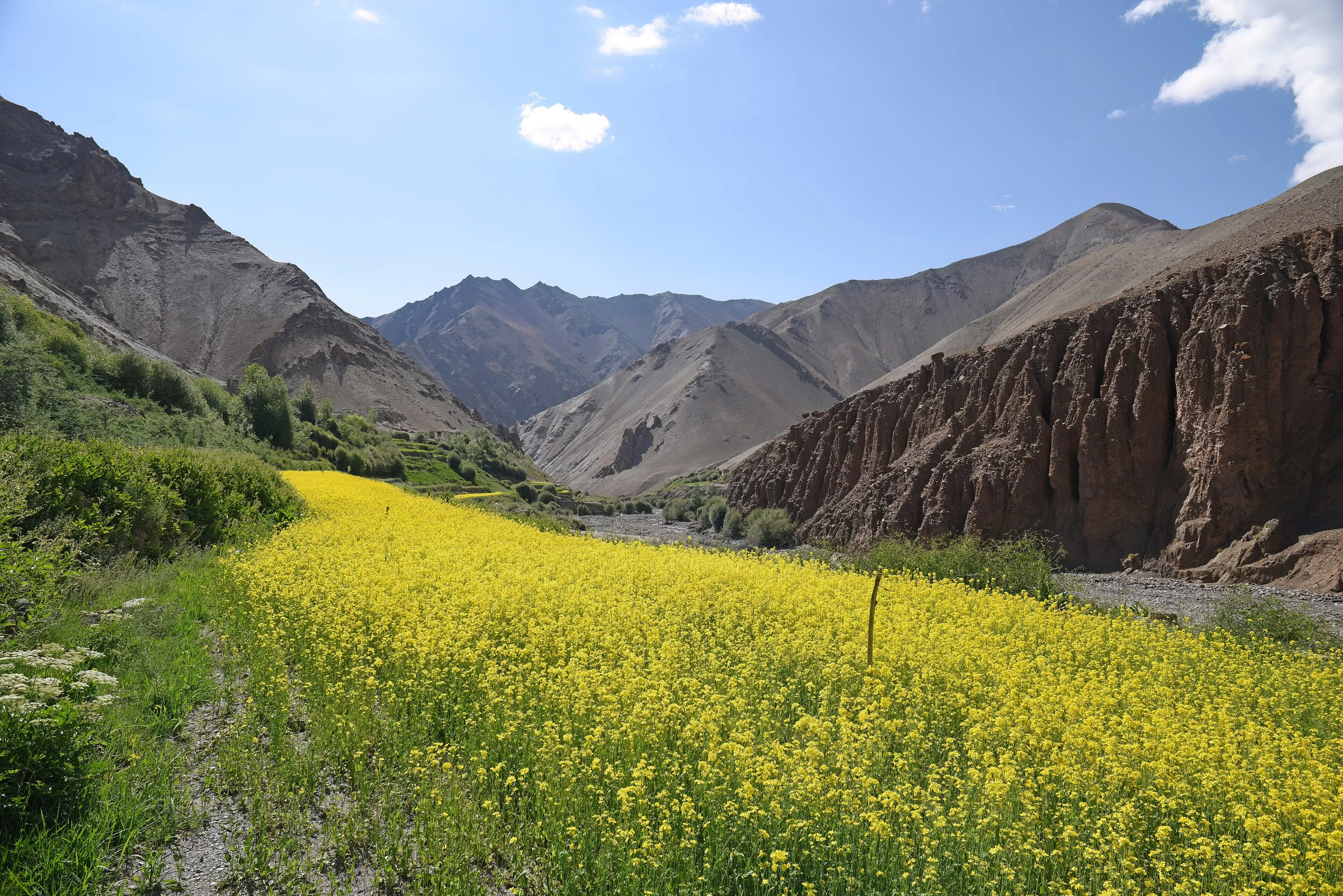 Ali Bedni Bugyal Trek — Uttarakhand