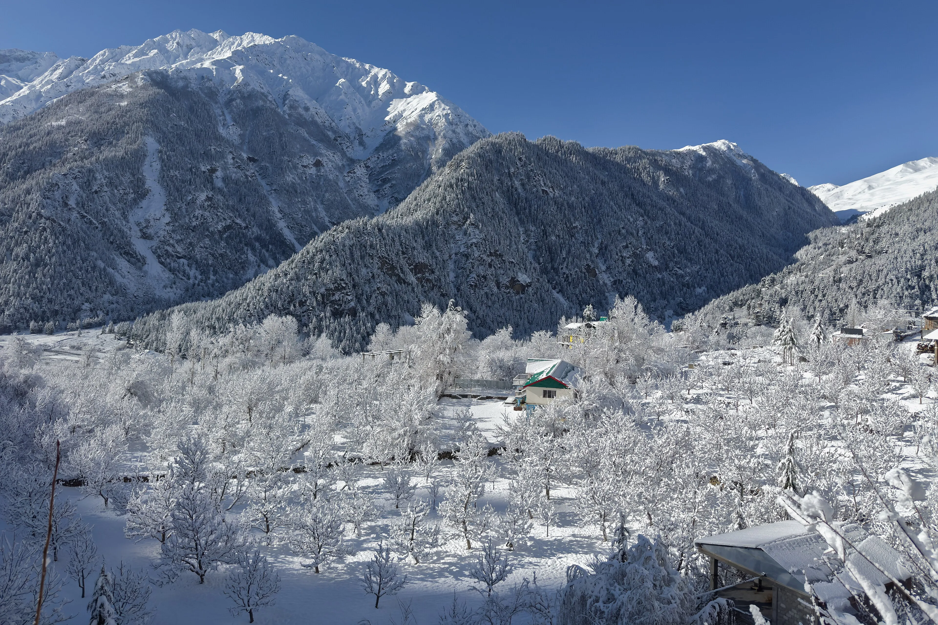 Himalayan base camp with tents beneath snow peaks at dusk