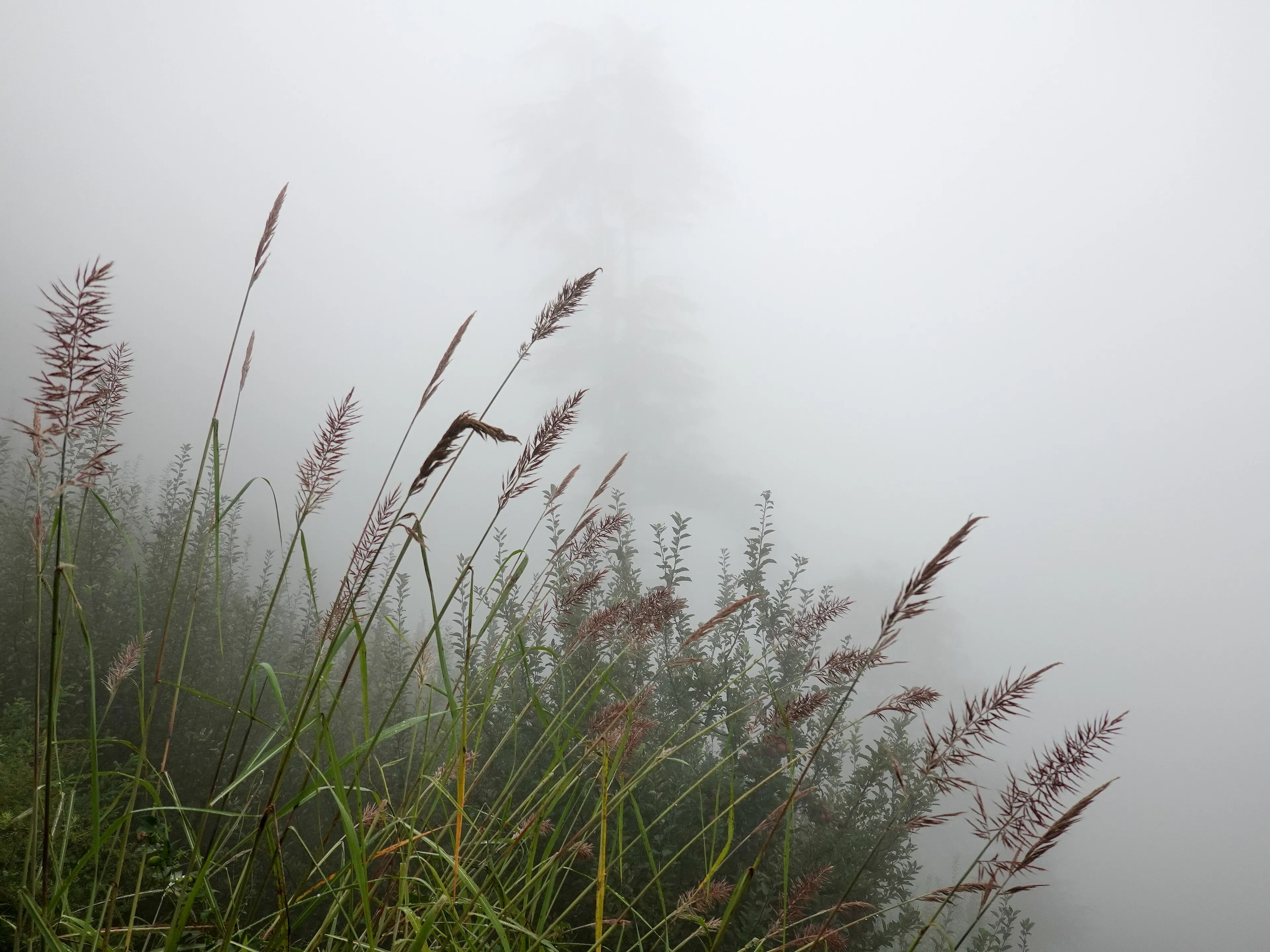 Hampta Pass Trek — Pir Panjal Range, Himachal Pradesh