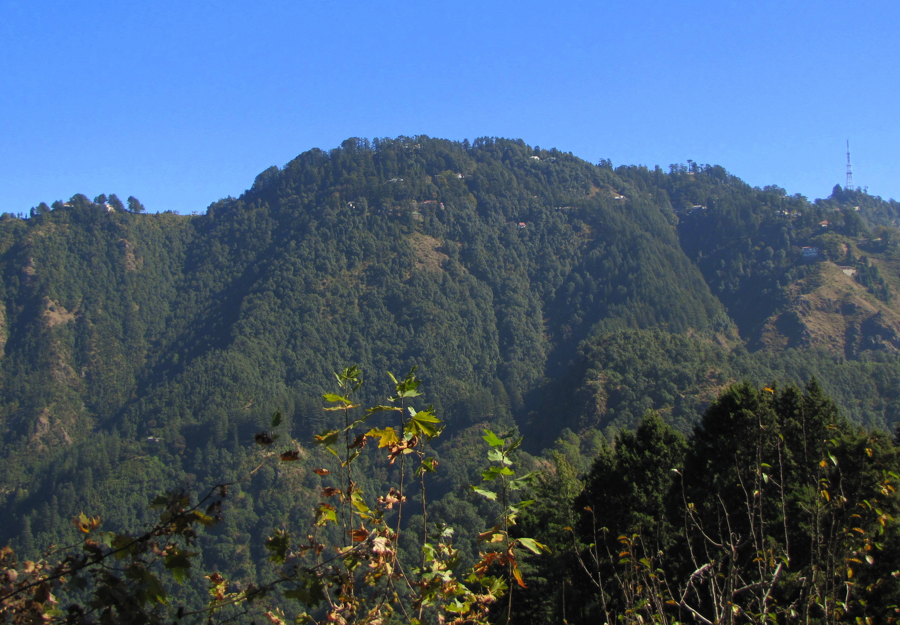 Indrahar Pass Trek — Dhauladhar Range, Himachal Pradesh
