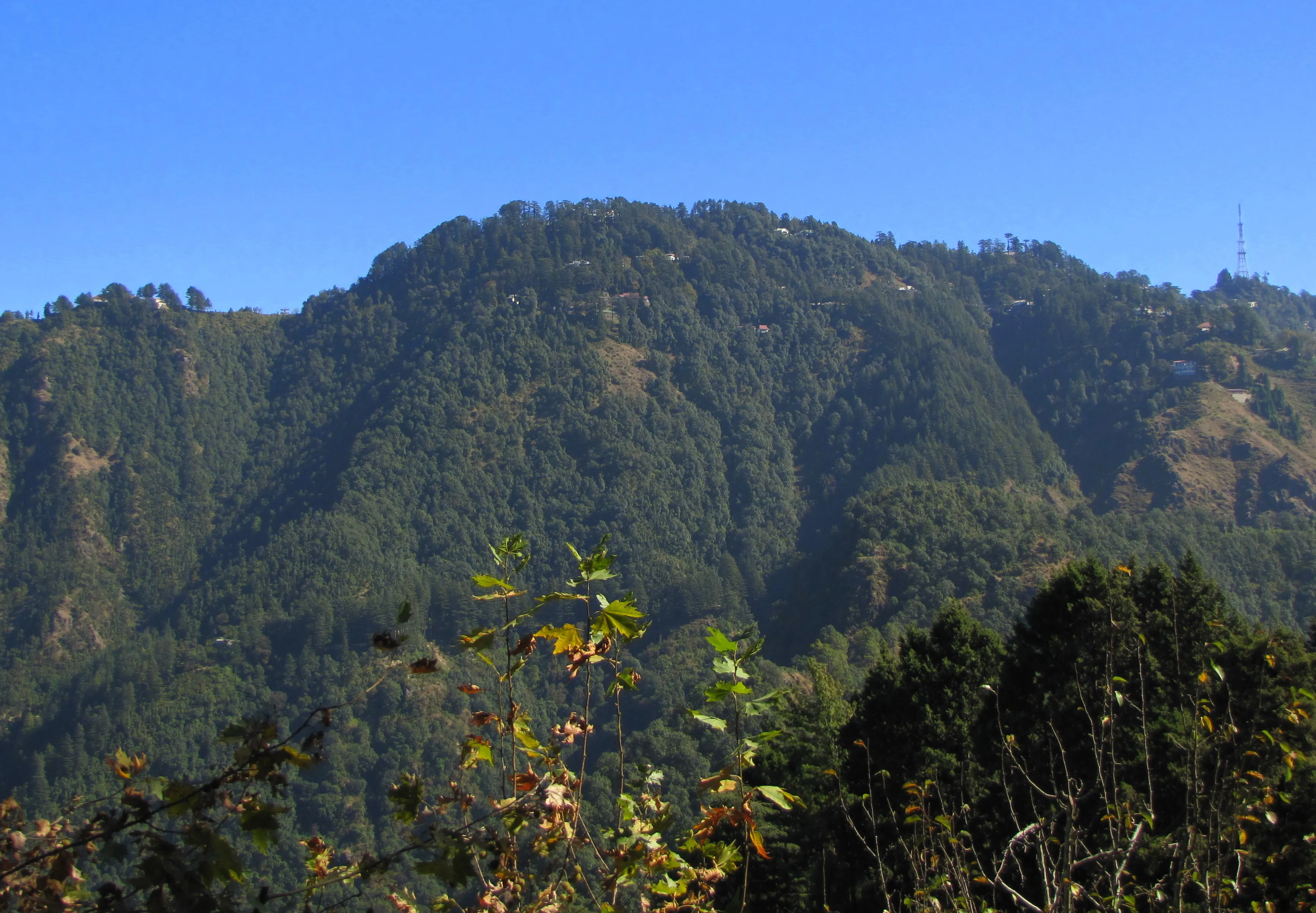 Indrahar Pass Trek — Dhauladhar Range, Himachal Pradesh