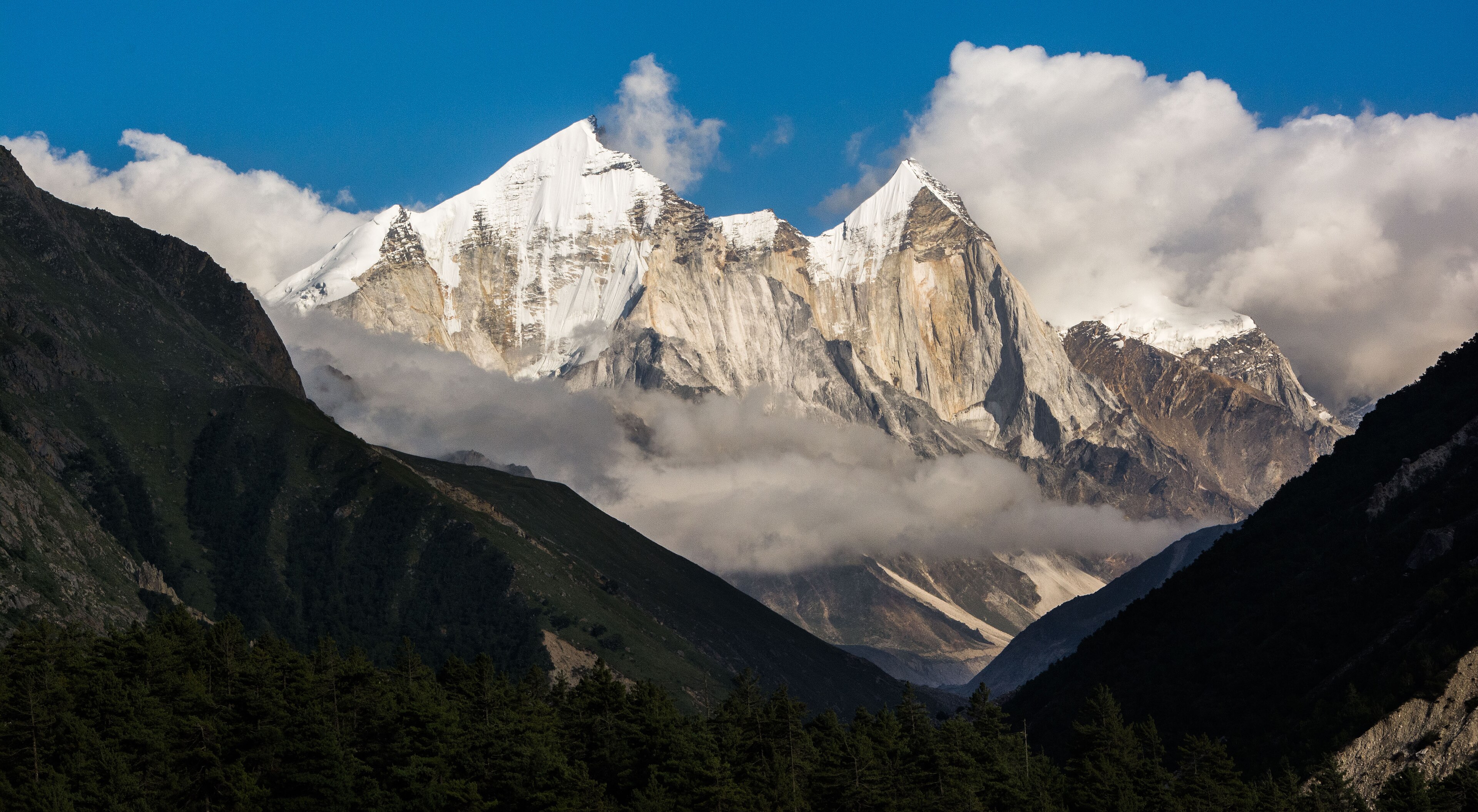 Paragliding Bir Billing — Himachal Pradesh