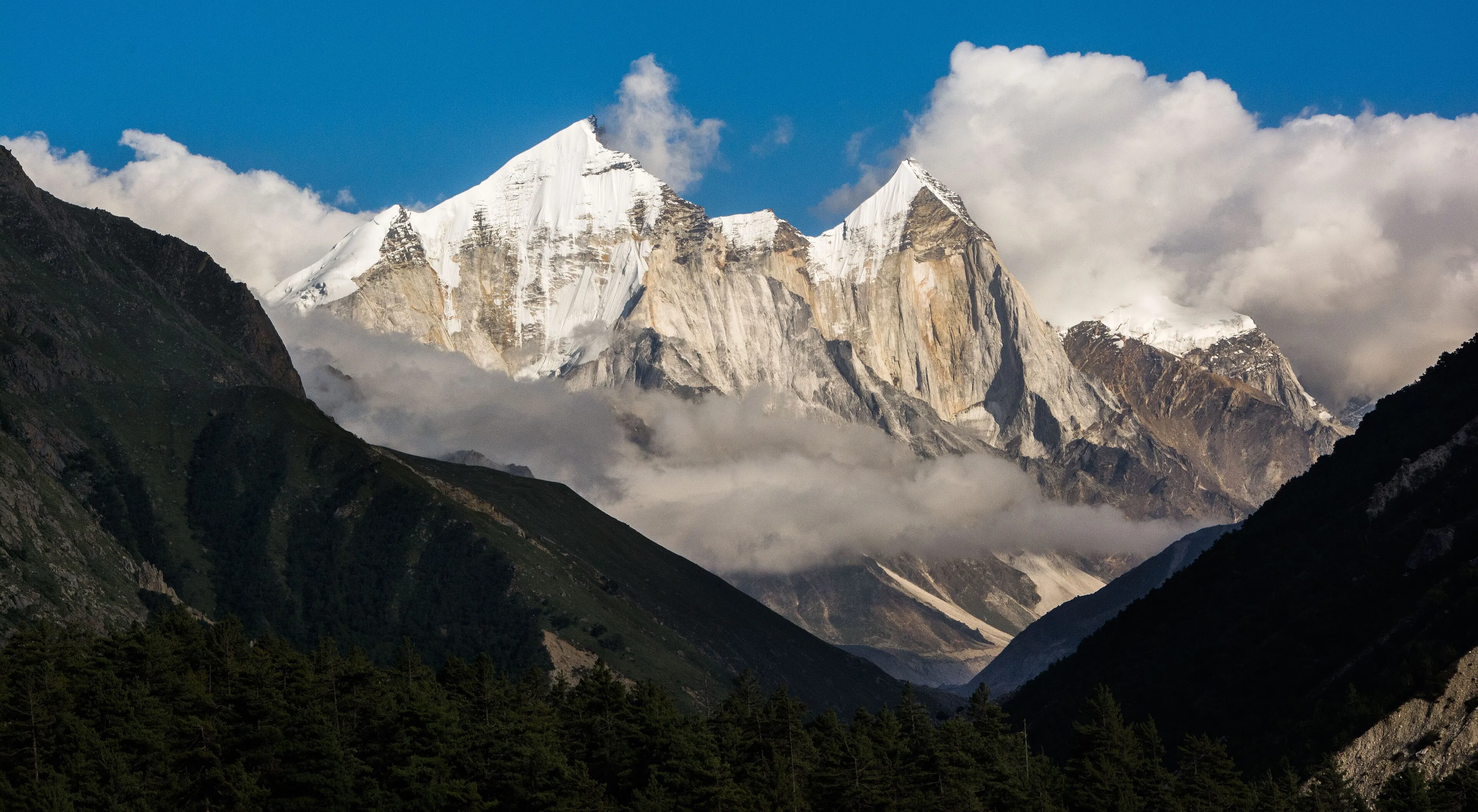 Paragliding Bir Billing — Himachal Pradesh